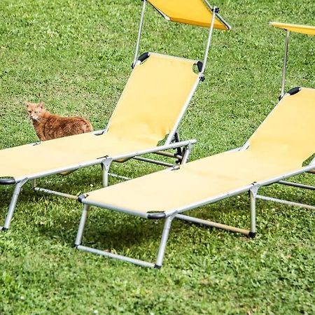 Apartment Pouringraz Fuer Kunst- Und Tennisliebhaber Exteriör bild