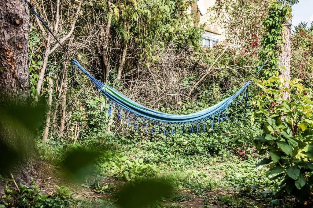 Apartment Pouringraz Fuer Kunst- Und Tennisliebhaber Exteriör bild